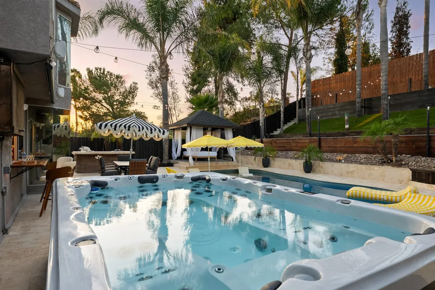 The Palms of SoCal — photograph 2